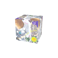 Новогодняя ночь Салют купить в Кумыше | kumysh.salutsklad.ru