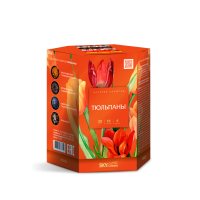 Тюльпаны Салют купить в Кумыше | kumysh.salutsklad.ru