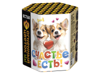 Счастье есть! Салют купить в Кумыше | kumysh.salutsklad.ru