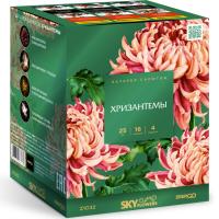 Хризантемы Фейерверк купить в Кумыше | kumysh.salutsklad.ru