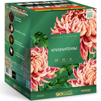 Хризантемы Фейерверк купить в Кумыше | kumysh.salutsklad.ru