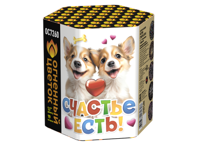 Счастье есть! Салют купить в Кумыше | kumysh.salutsklad.ru